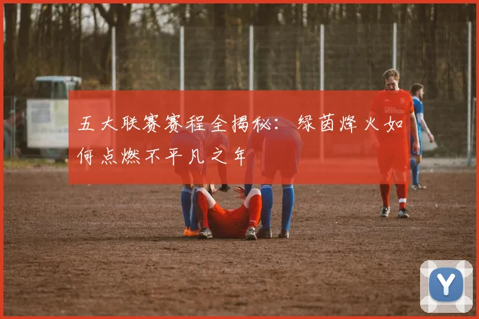 五大联赛赛程全揭秘：绿茵烽火如何点燃不平凡之年